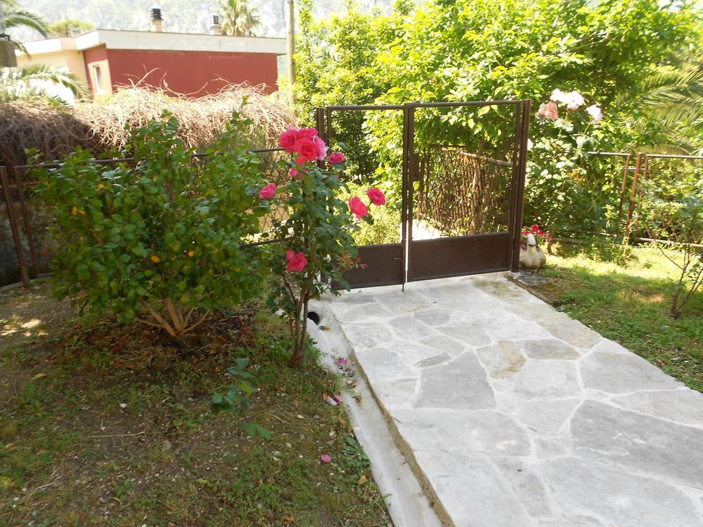 Apartments Samardzic Kotor Bagian luar foto